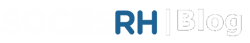 Sociis RH – Consultoria de Recursos Humanos e Gestão de Pessoas - 